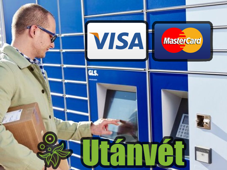 elf bar utánvét